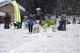 Kandersteg 2013